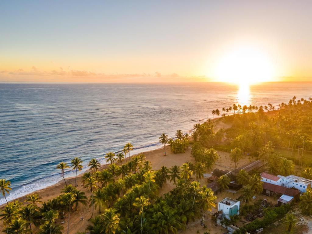 Puntacana Ecolodge Lavacama Beach Costa Arrecife By Aa Crypto Group Punta Cana Exterior photo
